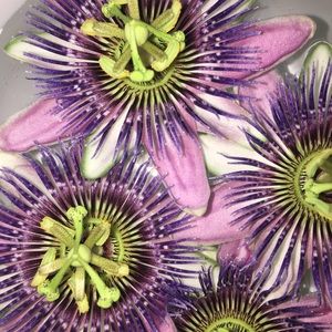 Meet your Posher, Chere